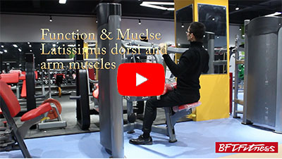 蜜桃视频黄色视频高拉背蜜桃在线电影使用视频教程