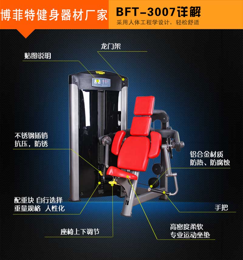 坐姿二头肌蜜桃在线电影